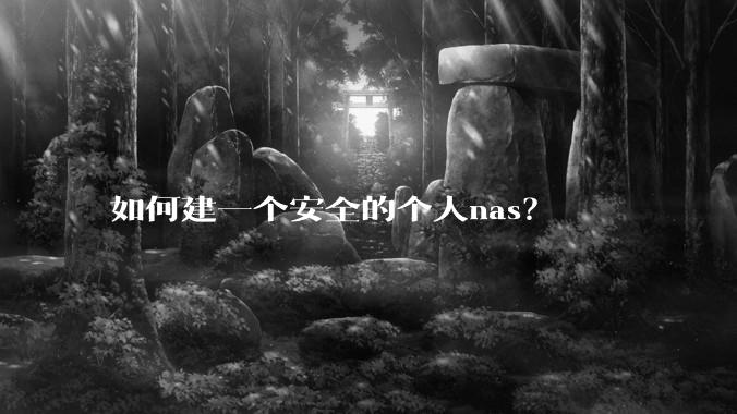 如何建一个安全的个人nas？