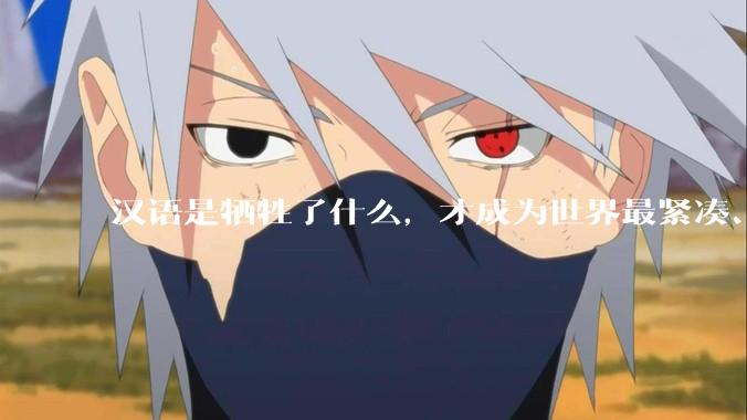 汉语是牺牲了什么，才成为世界最紧凑、最高效的语言？