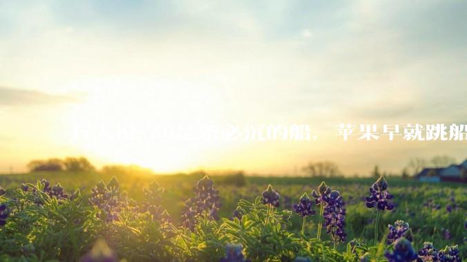 有人说x86是条必沉的船，苹果早就跳船了，微软也有弃船的意图，你怎么看？