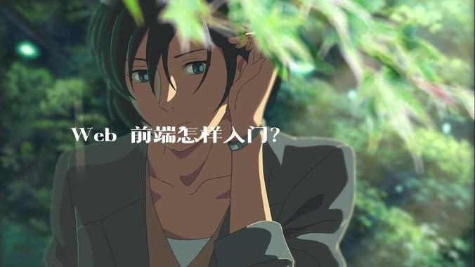 Web 前端怎样入门？