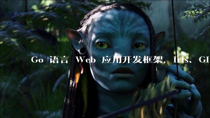 Go 语言 Web 应用开发框架，Iris、Gin、Echo，哪一个更适合大型项目？