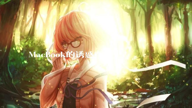 MacBook的诱惑在哪里？