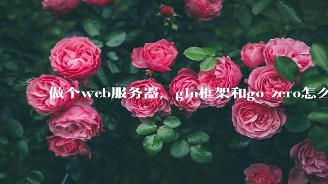 做个web服务器，gin框架和go-zero怎么选？