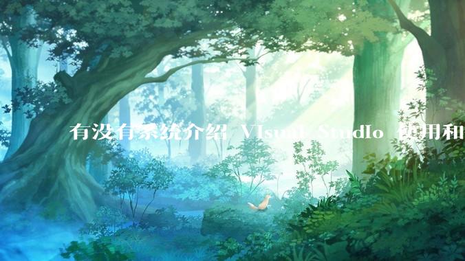 有没有系统介绍 Visual Studio 使用和技巧的书籍？