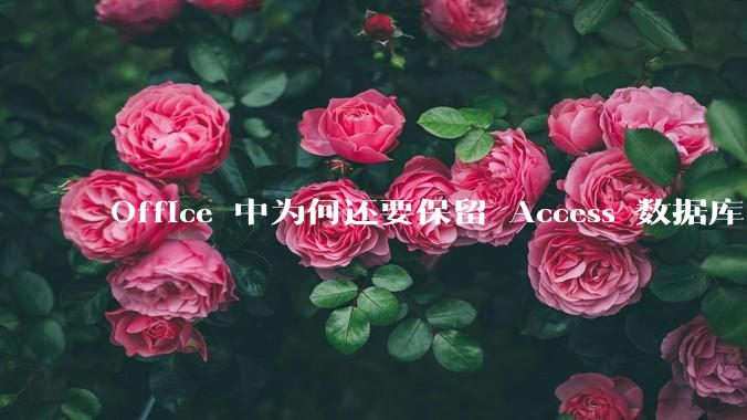 Office 中为何还要保留 Access 数据库?
