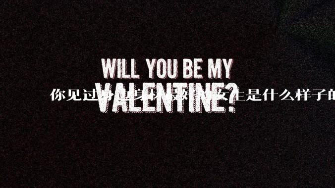 你见过身边身材最好的女生是什么样子的？