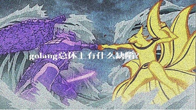 golang总体上有什么缺陷？