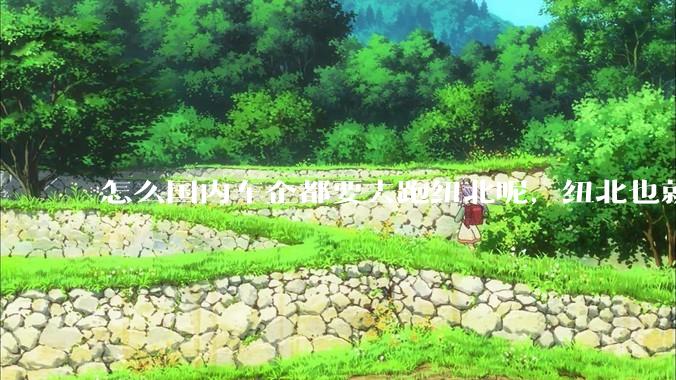 怎么国内车企都要去跑纽北呢，纽北也就是个普通赛道?