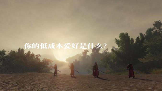 你的低成本爱好是什么？