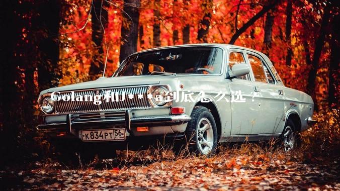 Golang和J***a到底怎么选?