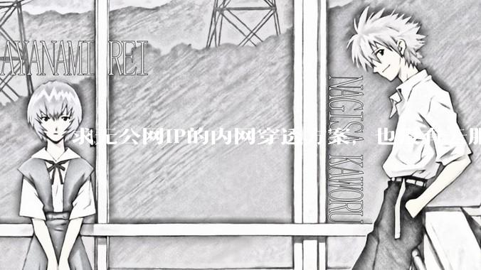 求无公网IP的内网穿透方案，也没有云服务器，有什么方案吗？