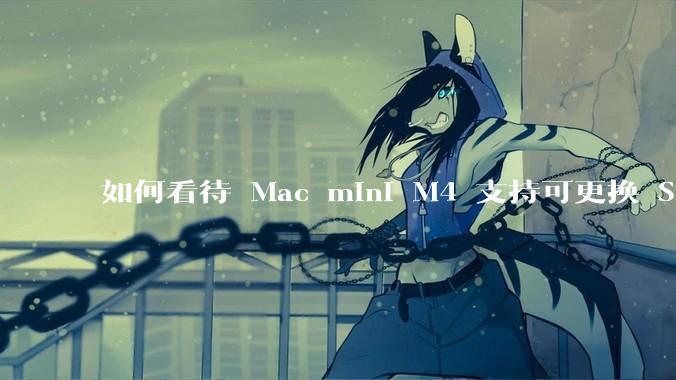 如何看待 Mac mini M4 支持可更换 SSD？