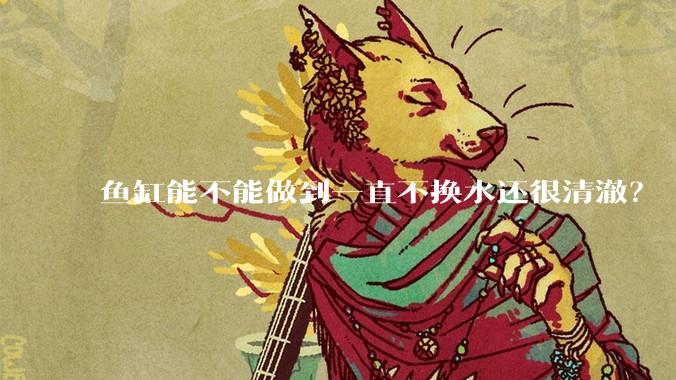 鱼缸能不能做到一直不换水还很清澈？