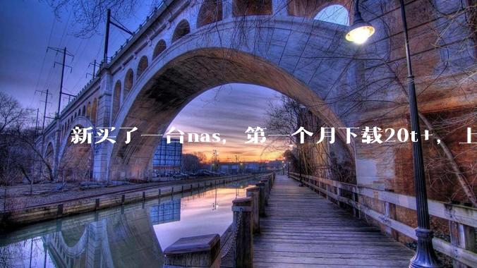 新买了一台nas，第一个月下载20t+，上传5+，不会被网警盯上吧?