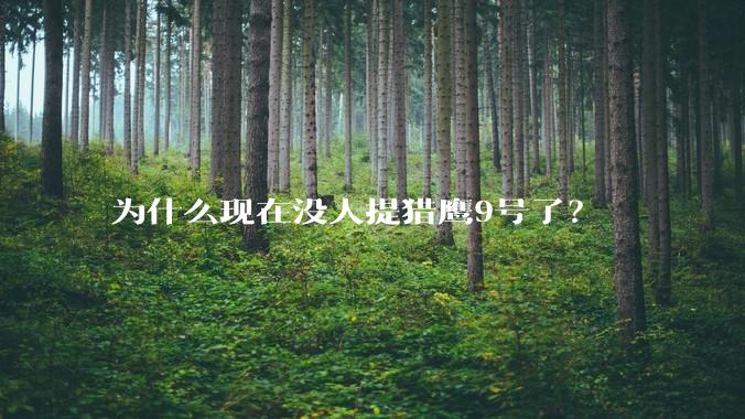 为什么现在没人提猎鹰9号了？