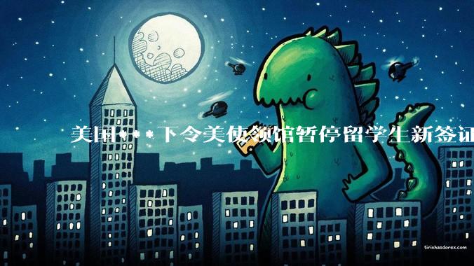 美国***下令美使领馆暂停留学生新签证面谈，将带来哪些影响？美国大学在全球人才竞争中还有优势吗？