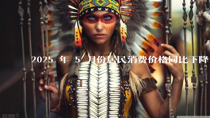 2025 年 5 月份居民消费价格同比下降 0.1%，如何看待这一数据？
