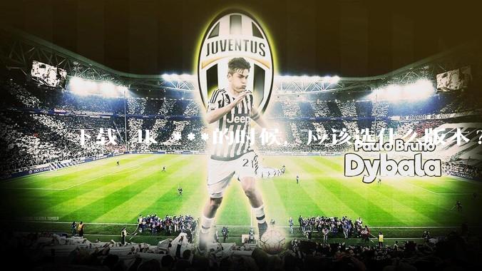 下载 4k ***的时候，应该选什么版本?