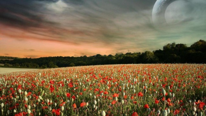 将 Windows Server 作为个人 PC 操作系统来用是怎样的体验？